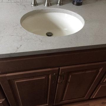Depew- Transitional Bisc Bathroom