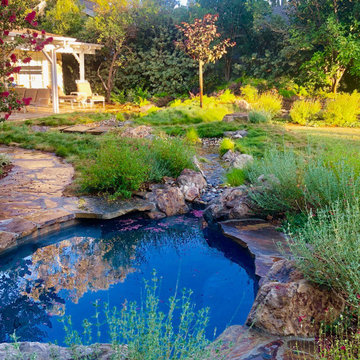 Custom Yard Remodel