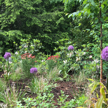 Soft Woodland Sweeps