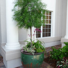 Landscape Ideas