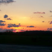 Stella Pafford's photo