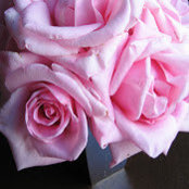 Ellen Luttrell's photo