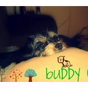 Buddy Milligan's photo