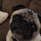Ray Anderson's photo