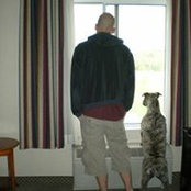 Bill Higgins's photo