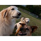 Gretchen Agusti's photo