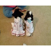 Jackie King-Lincoln's photo