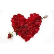 Shannon Sullivan's photo
