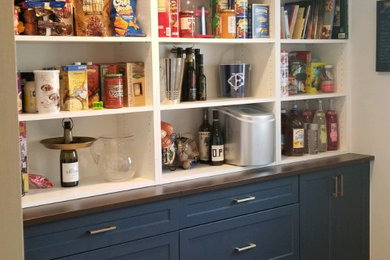 Inspiration for a small timeless gender-neutral dark wood floor and brown floor reach-in closet remodel in New York with recessed-panel cabinets and blue cabinets