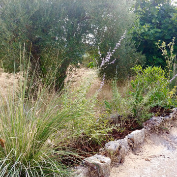 EL JARDÍN SIN RIEGO