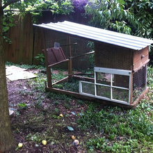 chicken coops