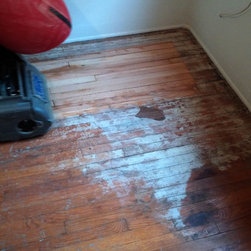 Residential remodel -  Sherman Oaks (refinish natural) - Hardwood Flooring