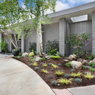 Mittelgroßer, Halbschattiger Mid-Century Vorgarten mit Auffahrt, Pflanzwand und Betonplatten in Orange County