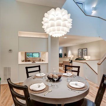 Turtle Pond Staging