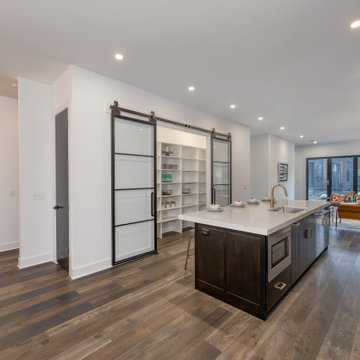 Downtown New Build
