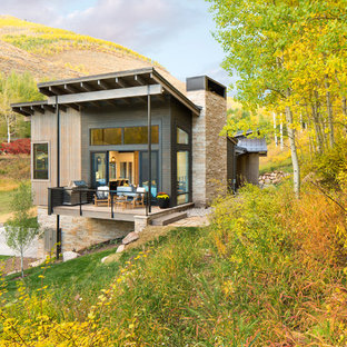 デンバーのコンテンポラリースタイルのおしゃれな平屋 (木材サイディング、ベージュの外壁、片流れ屋根、戸建) の写真