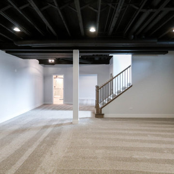 Modified Parker | Downtown Naperville, IL