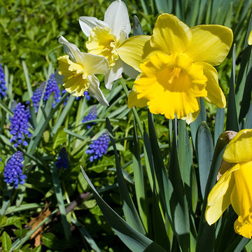 Northbrook, IL Spring Garden