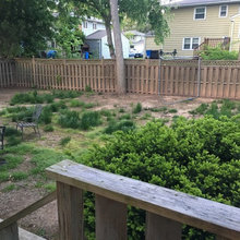yard