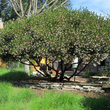 Gainer Garden