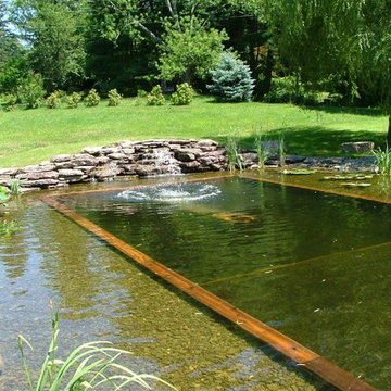 Swimming Ponds