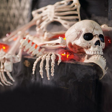 Halloween Haven 2015