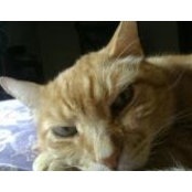 Mark Young's photo