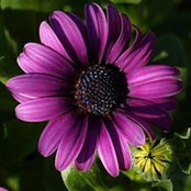 Debra Duncan's photo
