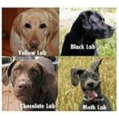 Lee Brown's photo