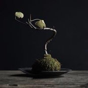 Wong KJ's photo