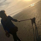 Tess Hamilton's photo