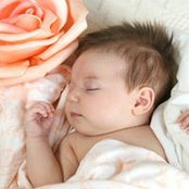 Jessica Friedli's photo