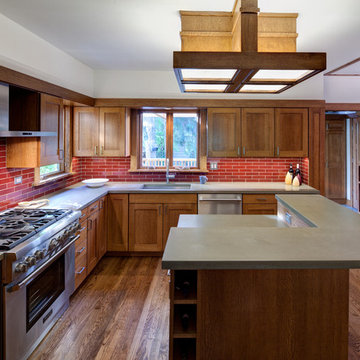 Oak Park Historic Remodel