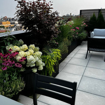 Williamsburg Rooftop Garden Wildflowers