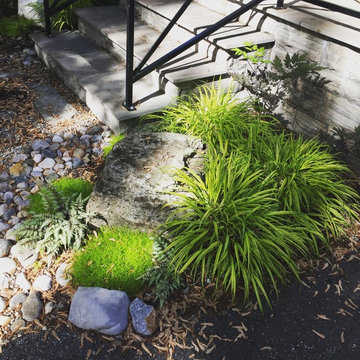 2 years later -Plants have grown!