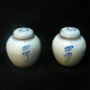 Chinese Porcelain Blue and White Small Jars, 2-Piece Set