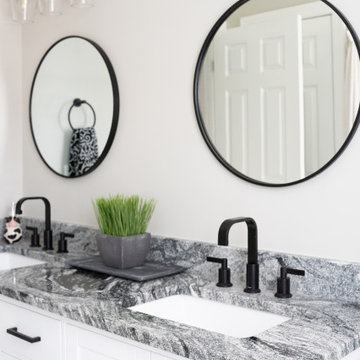 Contemporary Double Vanity Bathroom Renovation