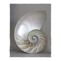 Artist:  Kimberly Charles - Photographs