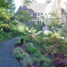 Exterior Ideas