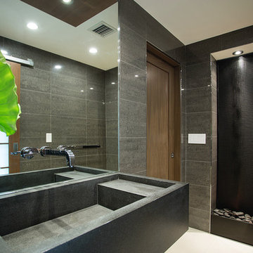 Miami Residence