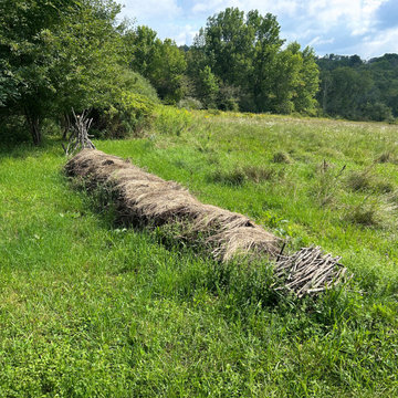 Ecotone Land