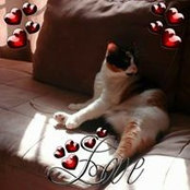 Ime Mine's photo