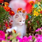 Hollis Eklund's photo