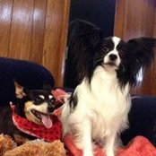 Tammie Kellum-Ortiz's photo
