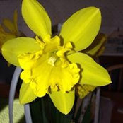 Judith Jones Scott's photo