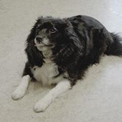 Gabriele Kettel's photo