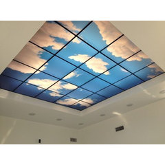 Artificial Sky