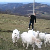 Stefan Babic's photo