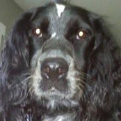 Casey Watkins's photo
