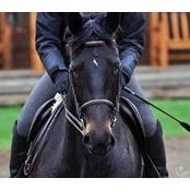 Calle Mirkowsky's photo